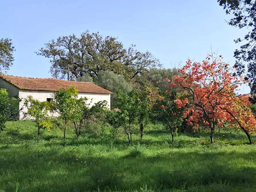 Immagine 20 di Rustico / casale in vendita  a Santa Marina