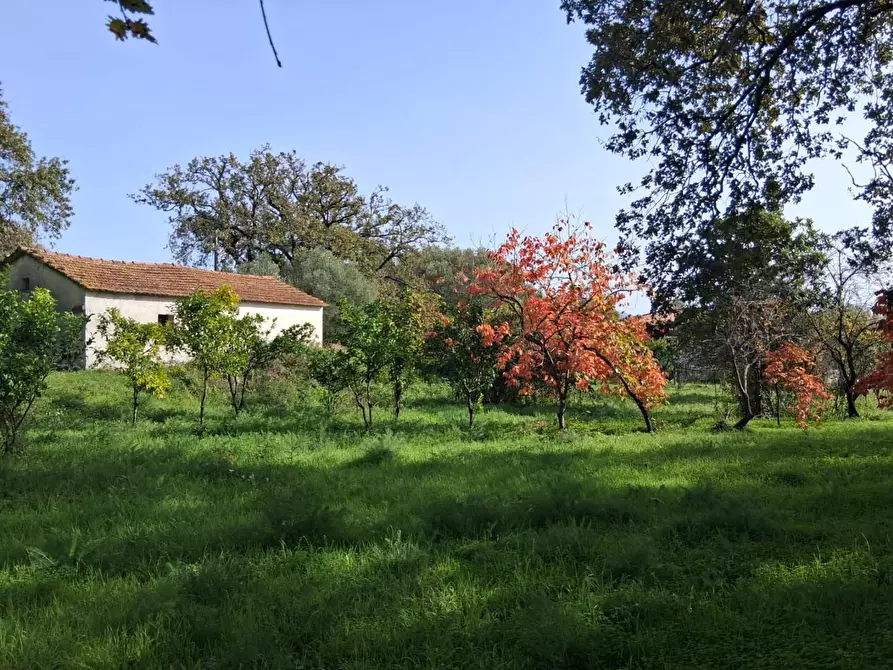 Immagine 25 di Rustico / casale in vendita  a Santa Marina