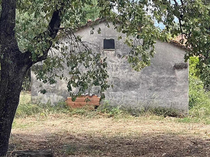 Immagine 27 di Rustico / casale in vendita  a Santa Marina