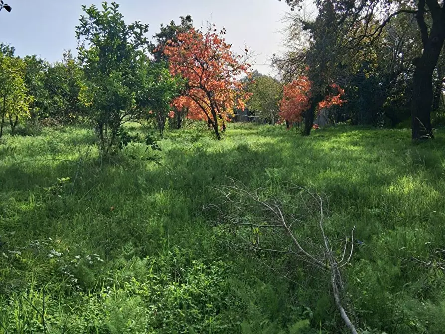 Immagine 52 di Rustico / casale in vendita  a Santa Marina