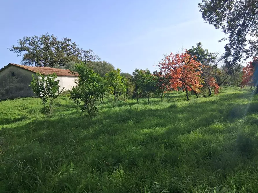 Immagine 38 di Rustico / casale in vendita  a Santa Marina