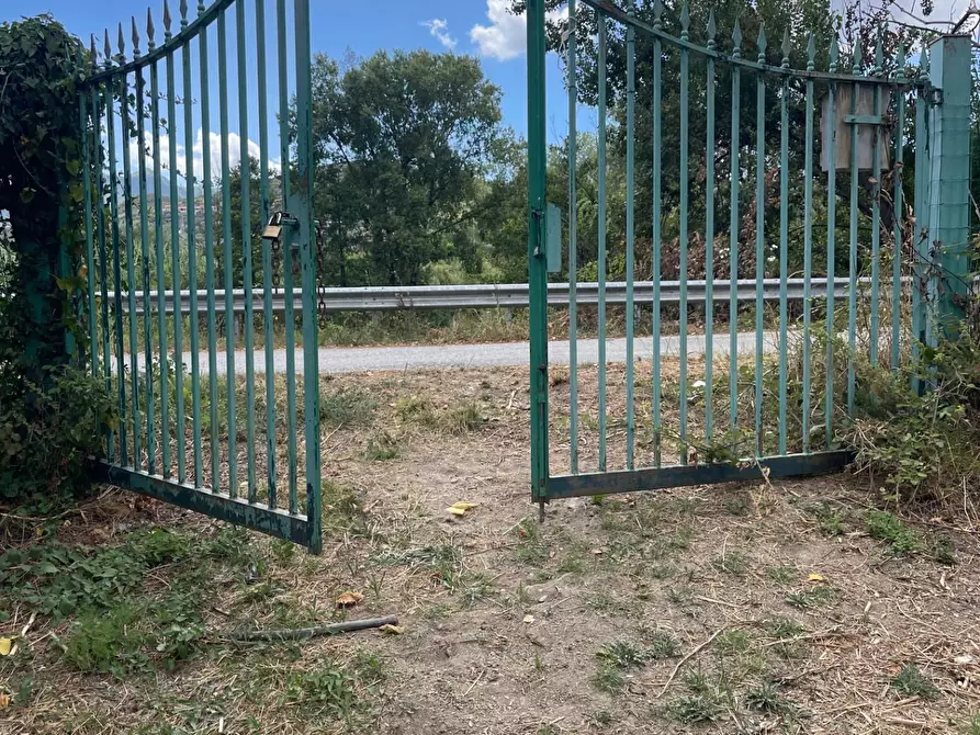 Immagine 3 di Rustico / casale in vendita  a Santa Marina