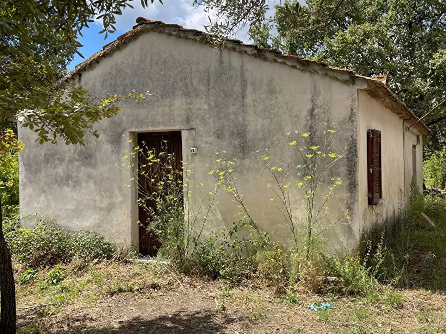 Immagine 45 di Rustico / casale in vendita  a Santa Marina