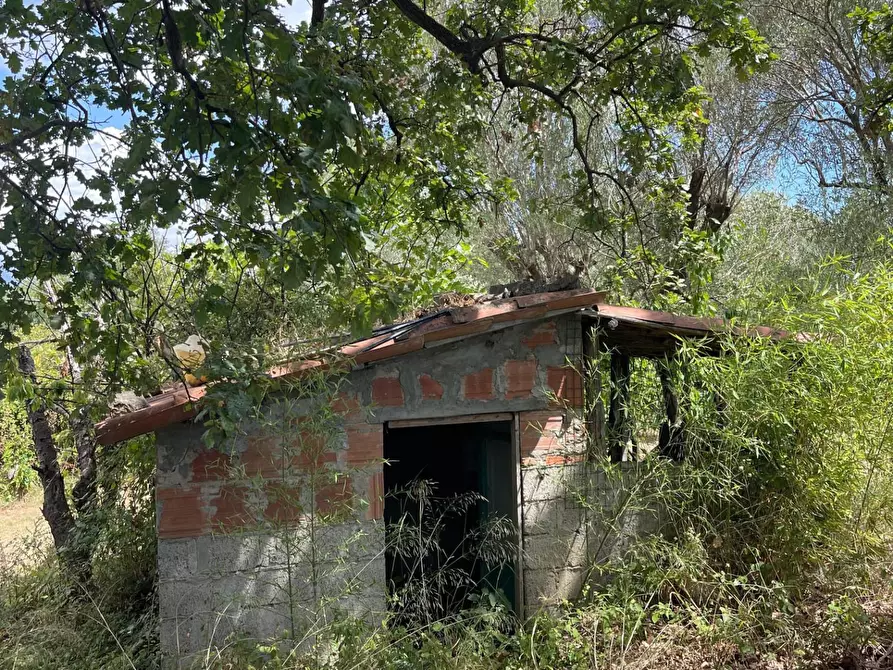 Immagine 42 di Rustico / casale in vendita  a Santa Marina