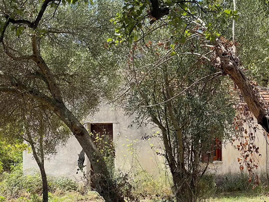 Immagine 43 di Rustico / casale in vendita  a Santa Marina