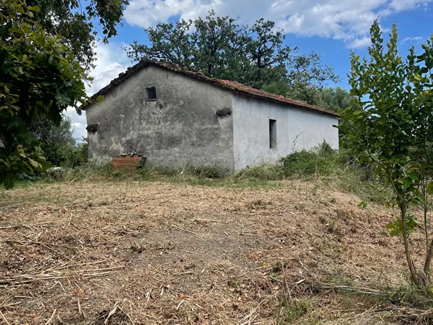Immagine 7 di Rustico / casale in vendita  a Santa Marina