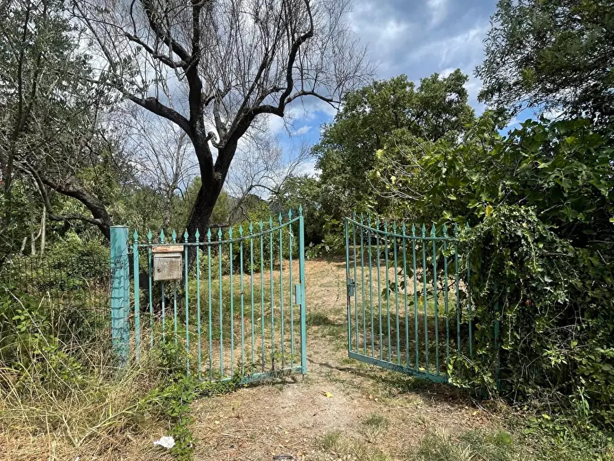 Immagine 44 di Rustico / casale in vendita  a Santa Marina