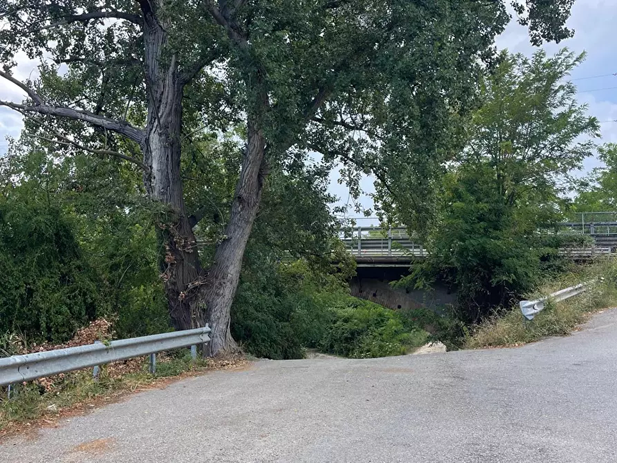Immagine 49 di Rustico / casale in vendita  a Santa Marina