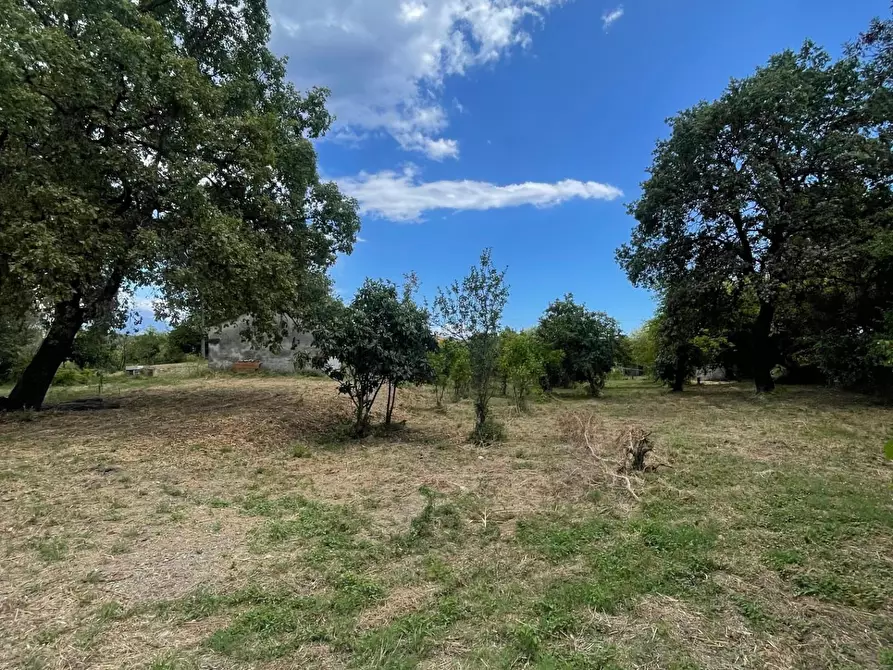 Immagine 55 di Rustico / casale in vendita  a Santa Marina