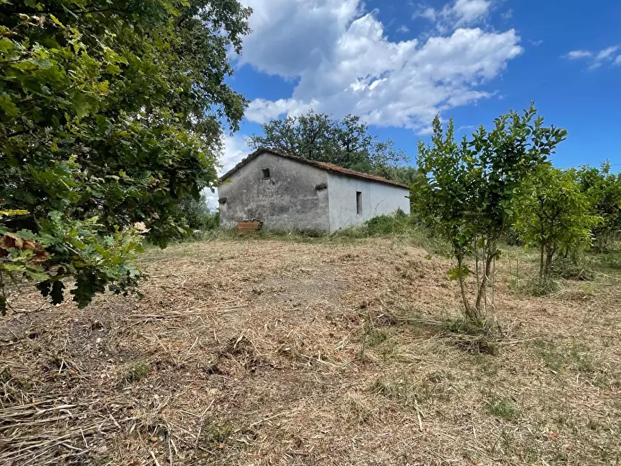 Immagine 21 di Rustico / casale in vendita  a Santa Marina