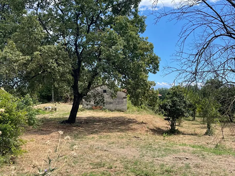 Immagine 40 di Rustico / casale in vendita  a Santa Marina