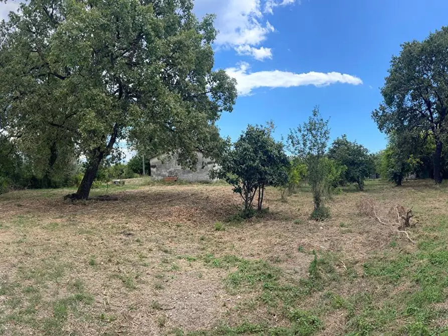 Immagine 22 di Rustico / casale in vendita  a Santa Marina