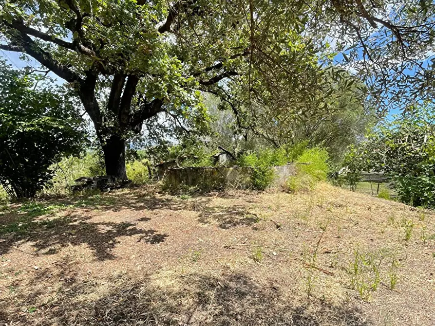 Immagine 10 di Rustico / casale in vendita  a Santa Marina