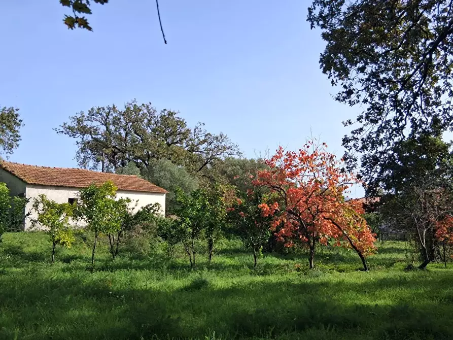 Immagine 48 di Rustico / casale in vendita  a Santa Marina