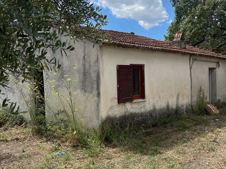 Immagine 57 di Rustico / casale in vendita  a Santa Marina