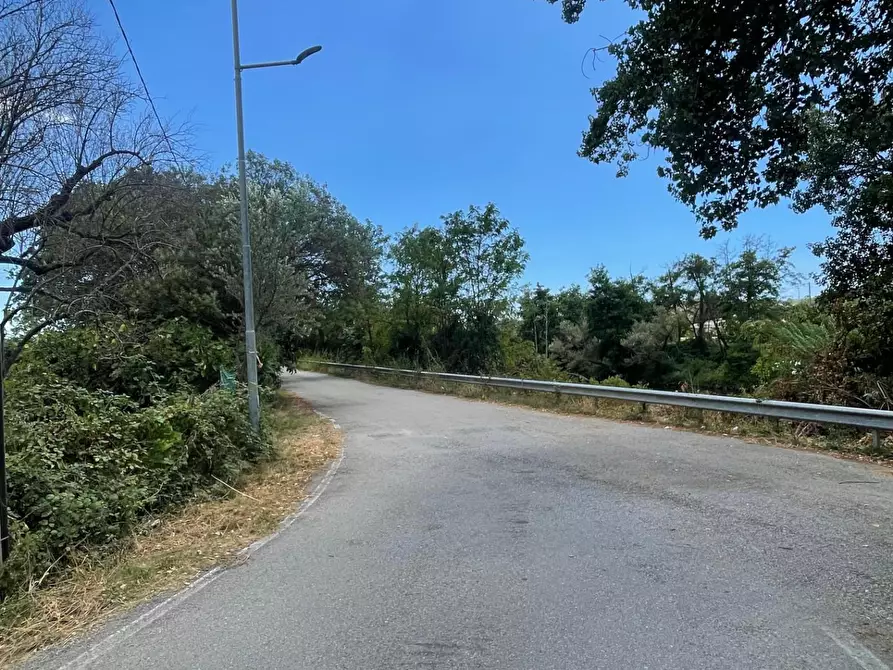 Immagine 24 di Rustico / casale in vendita  a Santa Marina