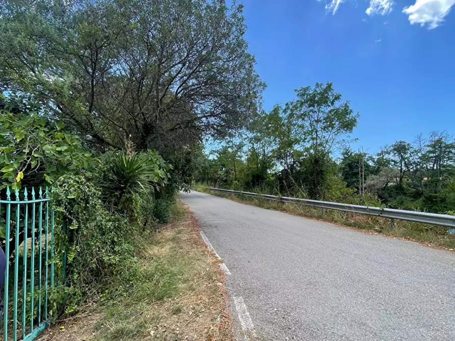 Immagine 37 di Rustico / casale in vendita  a Santa Marina