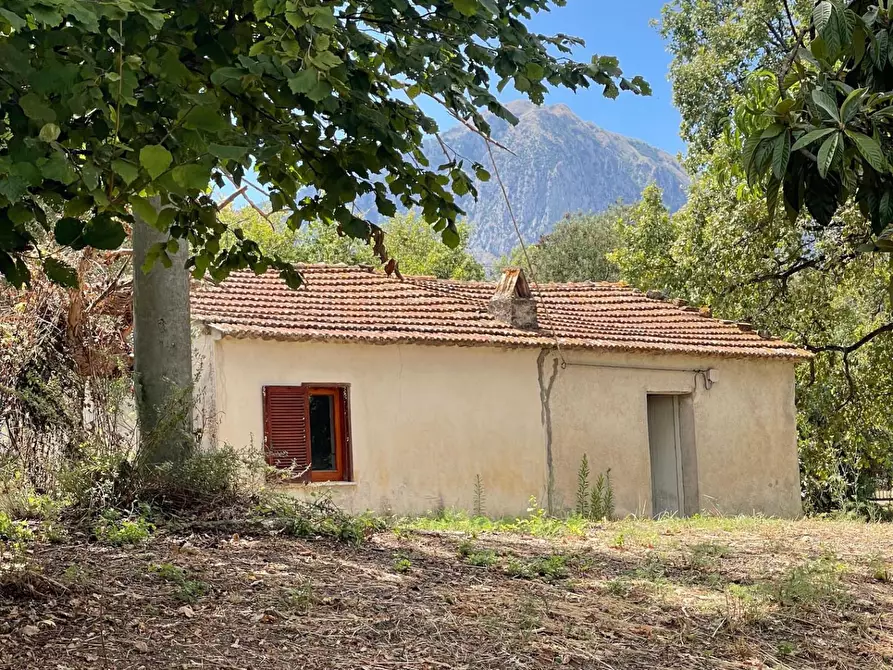 Immagine 9 di Rustico / casale in vendita  a Santa Marina