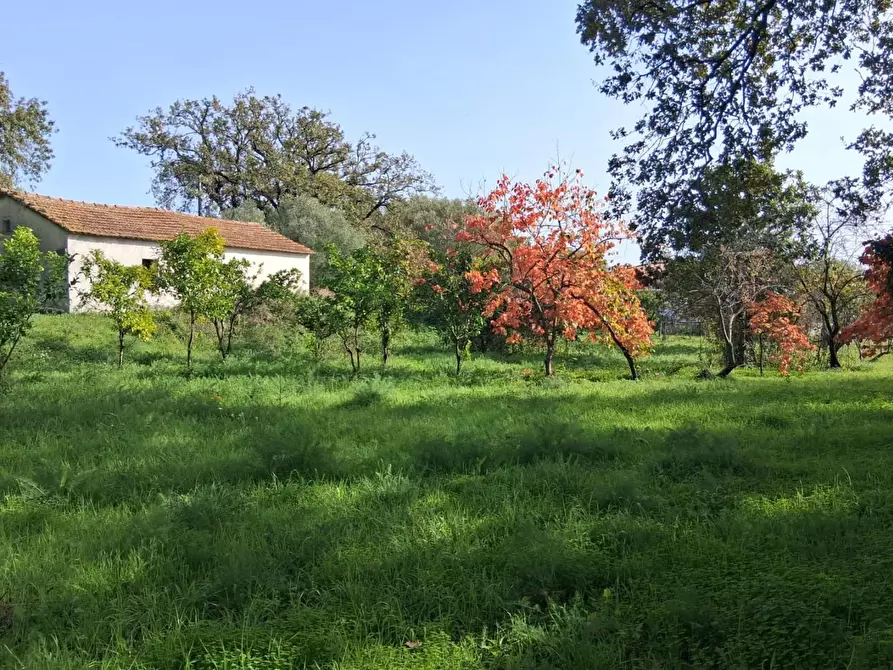 Immagine 53 di Rustico / casale in vendita  a Santa Marina