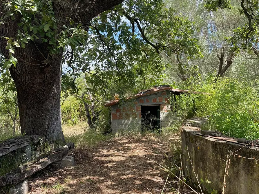 Immagine 5 di Rustico / casale in vendita  a Santa Marina