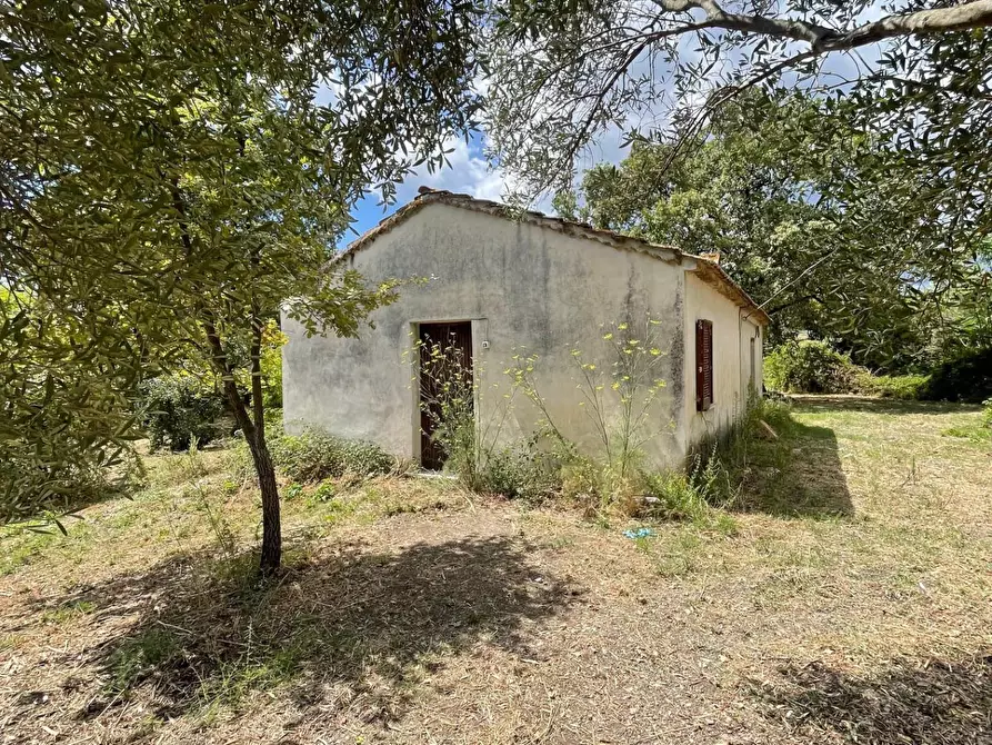 Immagine 46 di Rustico / casale in vendita  a Santa Marina
