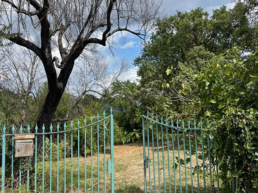 Immagine 28 di Rustico / casale in vendita  a Santa Marina