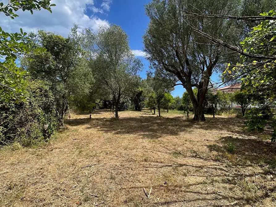 Immagine 39 di Rustico / casale in vendita  a Santa Marina