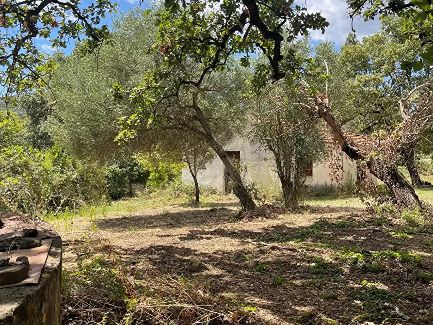 Immagine 15 di Rustico / casale in vendita  a Santa Marina