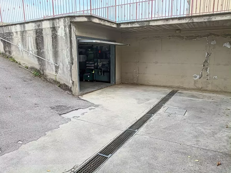 Immagine 15 di Appartamento in vendita  a Campiglia Marittima