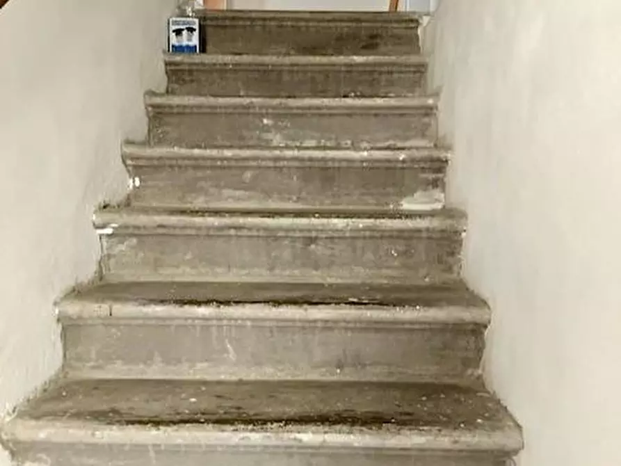 Immagine 5 di Terratetto in vendita  a Vecchiano