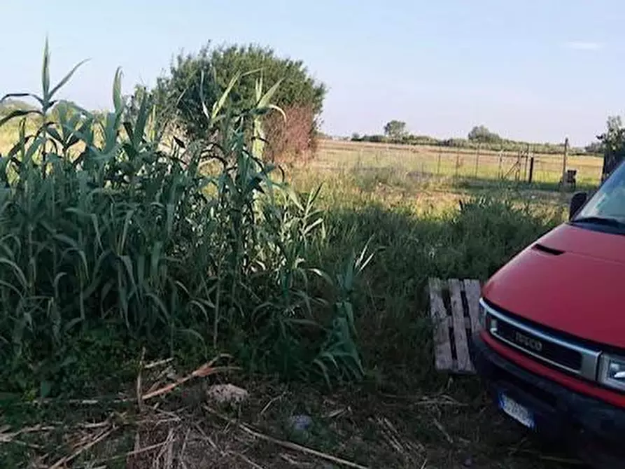 Immagine 15 di Terratetto in vendita  a Vecchiano
