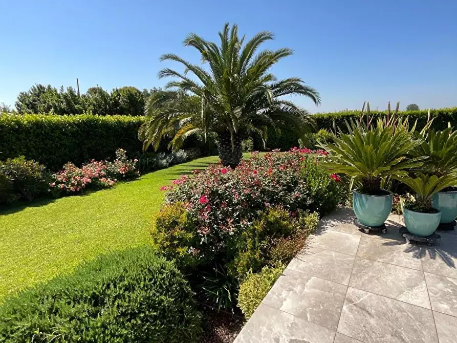 Immagine 34 di Casa bifamiliare in vendita  a Calcinaia