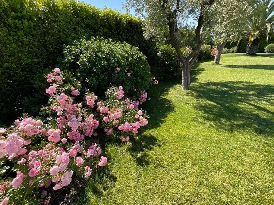 Immagine 27 di Casa bifamiliare in vendita  a Calcinaia