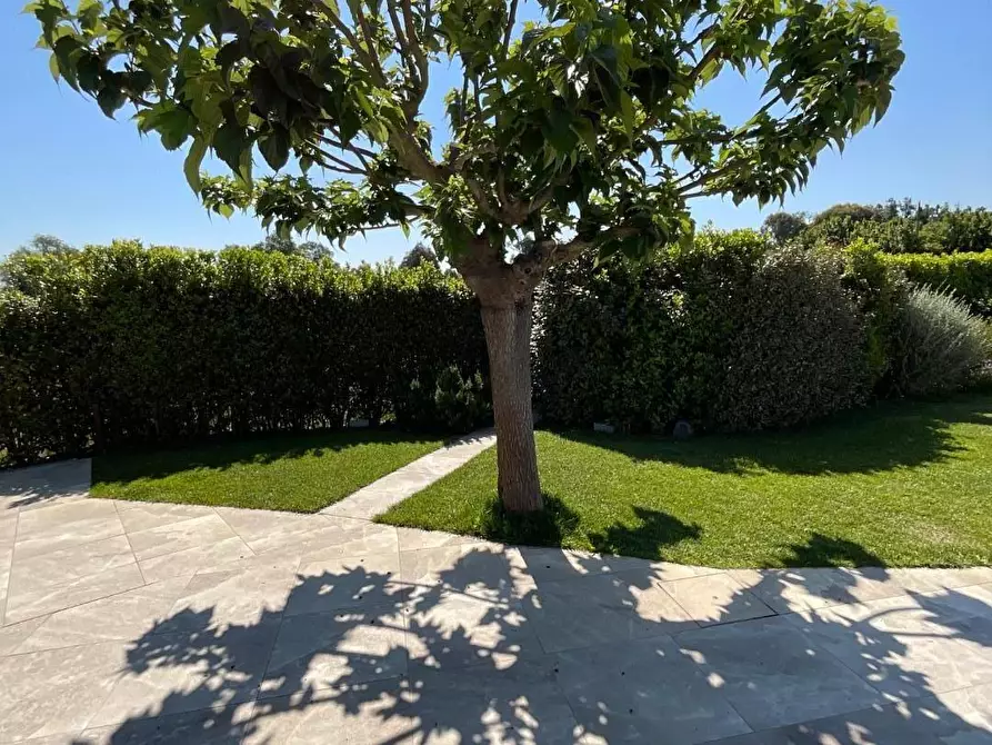 Immagine 22 di Casa bifamiliare in vendita  a Calcinaia