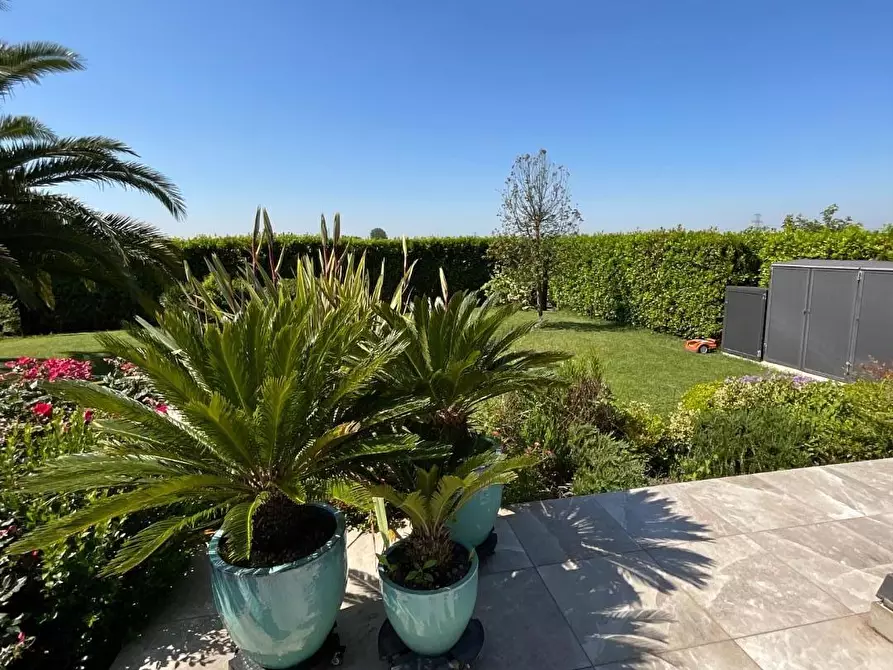 Immagine 35 di Casa bifamiliare in vendita  a Calcinaia