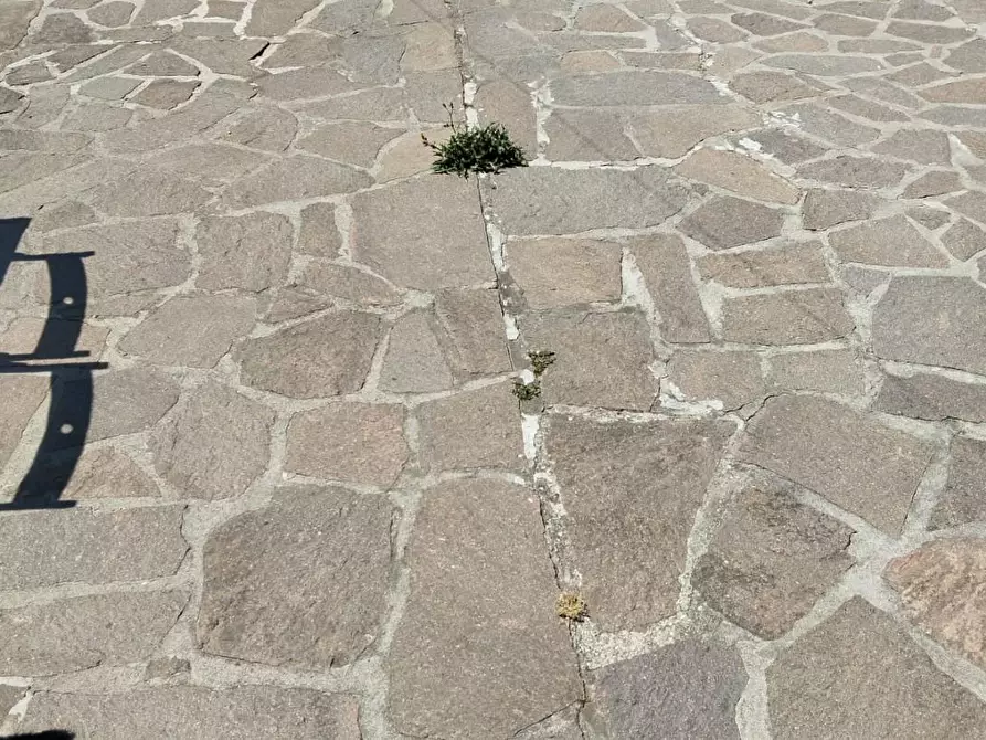 Immagine 4 di Appartamento in vendita  a Cascina