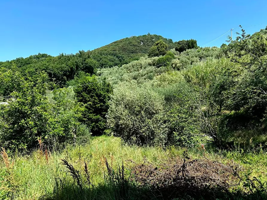 Immagine 24 di Rustico / casale in vendita  a Borgo A Mozzano