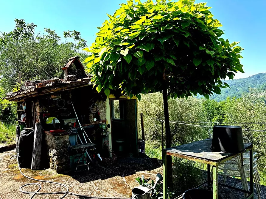 Immagine 22 di Rustico / casale in vendita  a Borgo A Mozzano