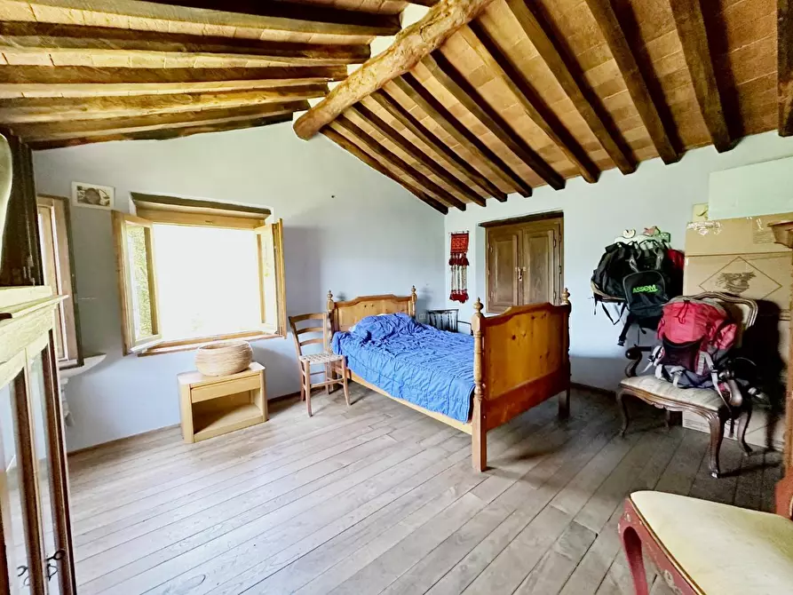 Immagine 17 di Rustico / casale in vendita  a Borgo A Mozzano