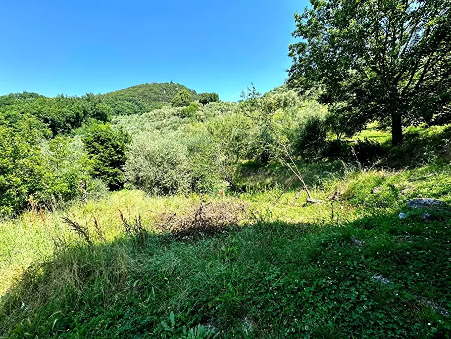 Immagine 23 di Rustico / casale in vendita  a Borgo A Mozzano