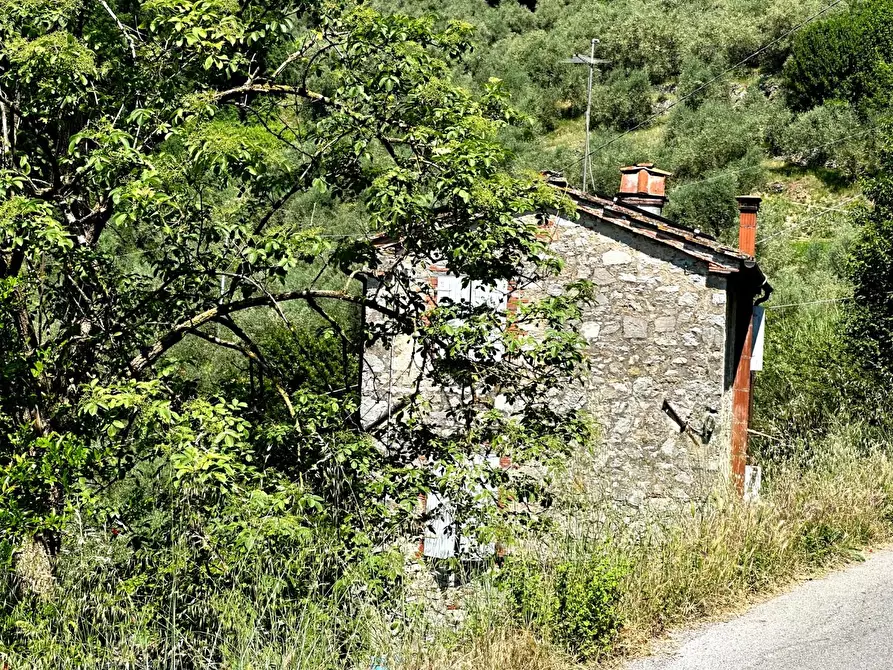 Immagine 26 di Rustico / casale in vendita  a Borgo A Mozzano