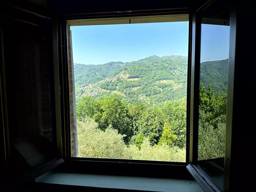 Immagine 15 di Rustico / casale in vendita  a Borgo A Mozzano
