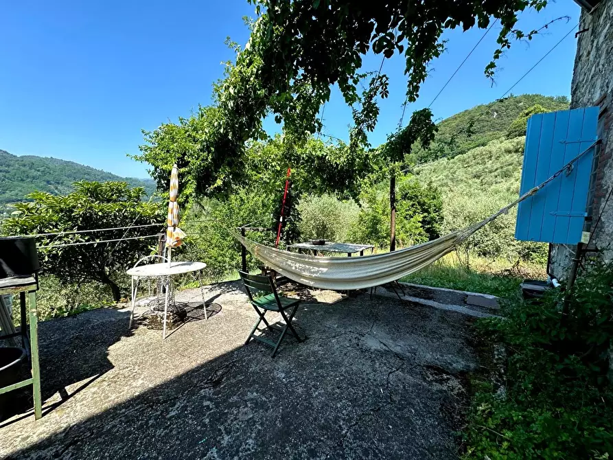 Immagine 21 di Rustico / casale in vendita  a Borgo A Mozzano
