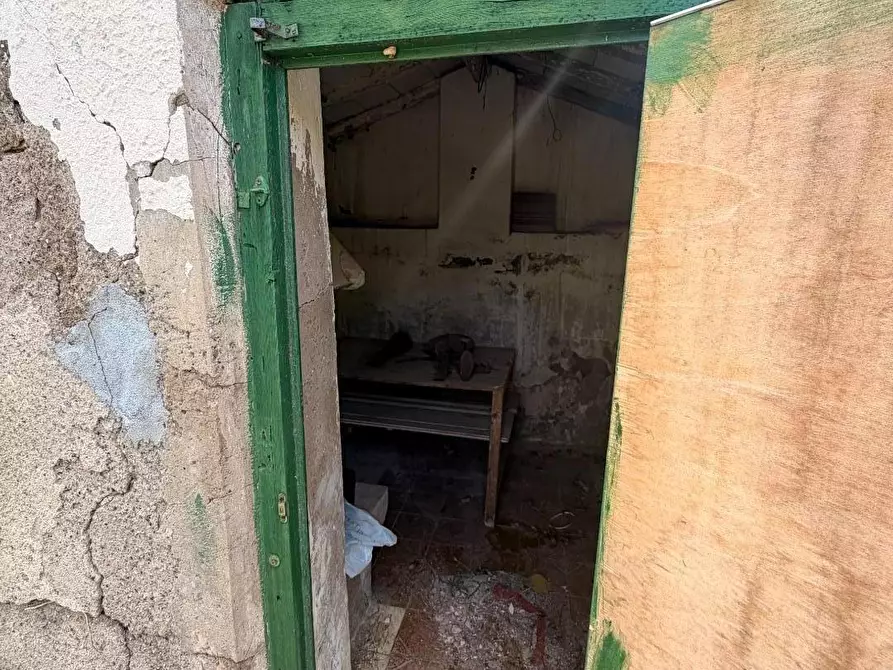 Immagine 22 di Appartamento in vendita  a Cecina