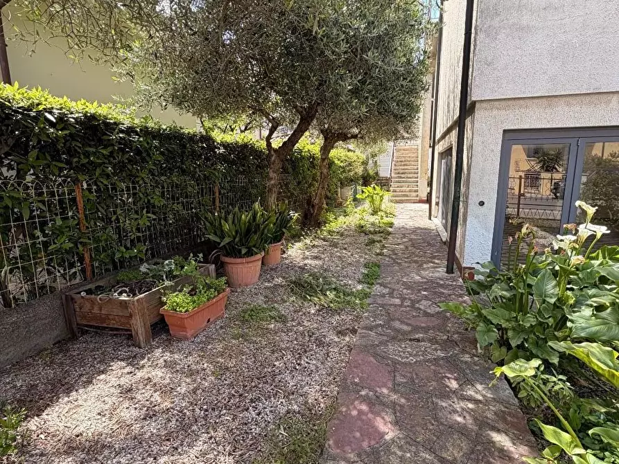 Immagine 15 di Appartamento in vendita  a Cecina