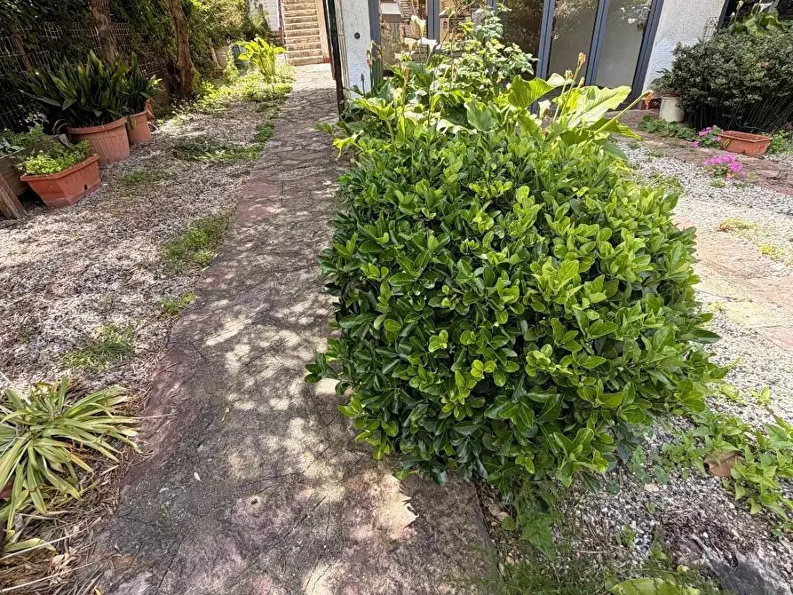 Immagine 9 di Appartamento in vendita  a Cecina