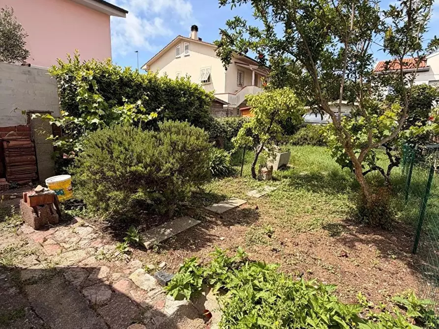 Immagine 21 di Appartamento in vendita  a Cecina