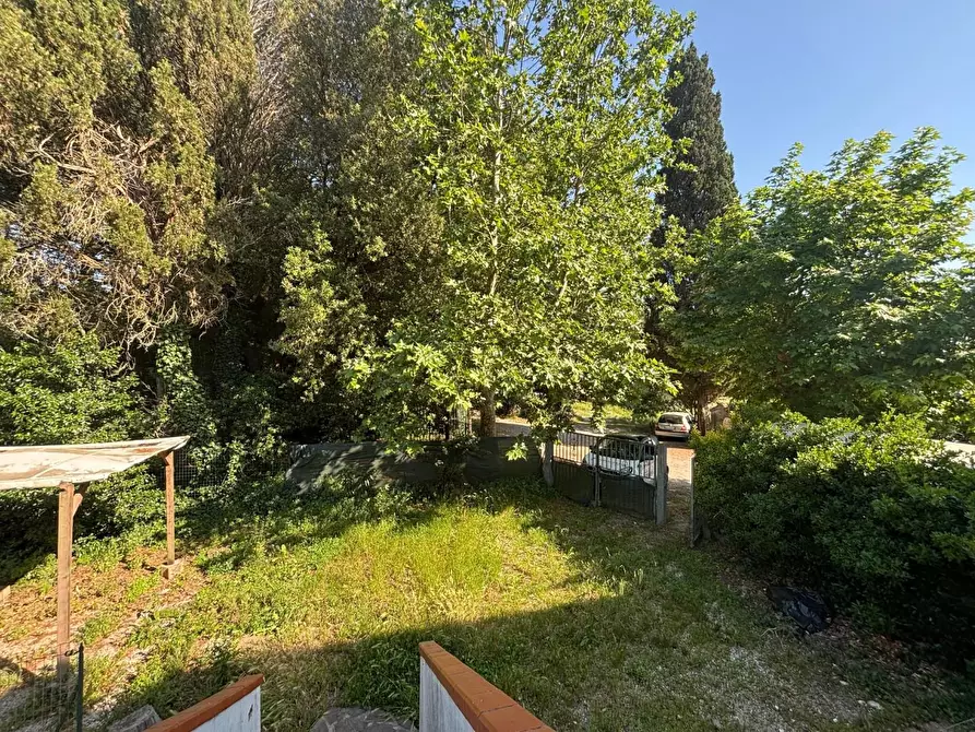 Immagine 14 di Appartamento in vendita  a Fauglia