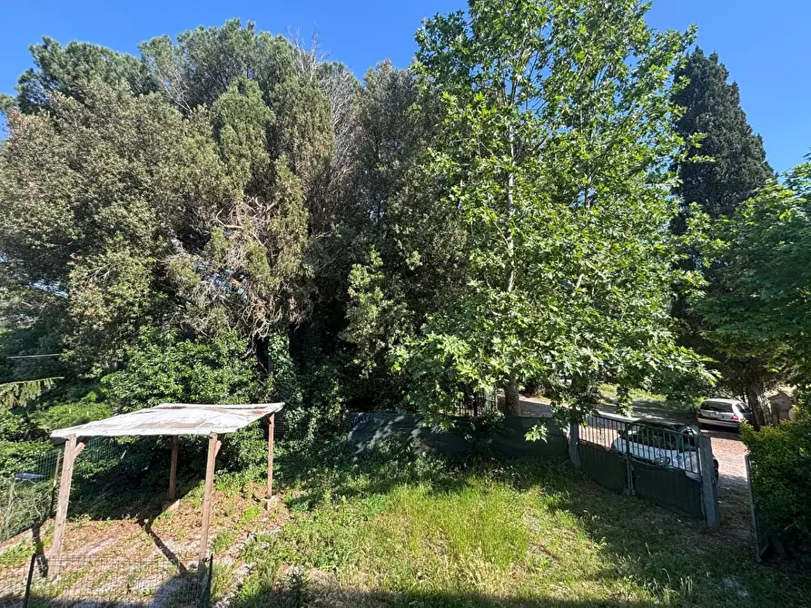 Immagine 17 di Appartamento in vendita  a Fauglia