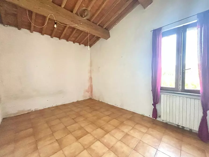 Immagine 11 di Appartamento in vendita  a Fauglia